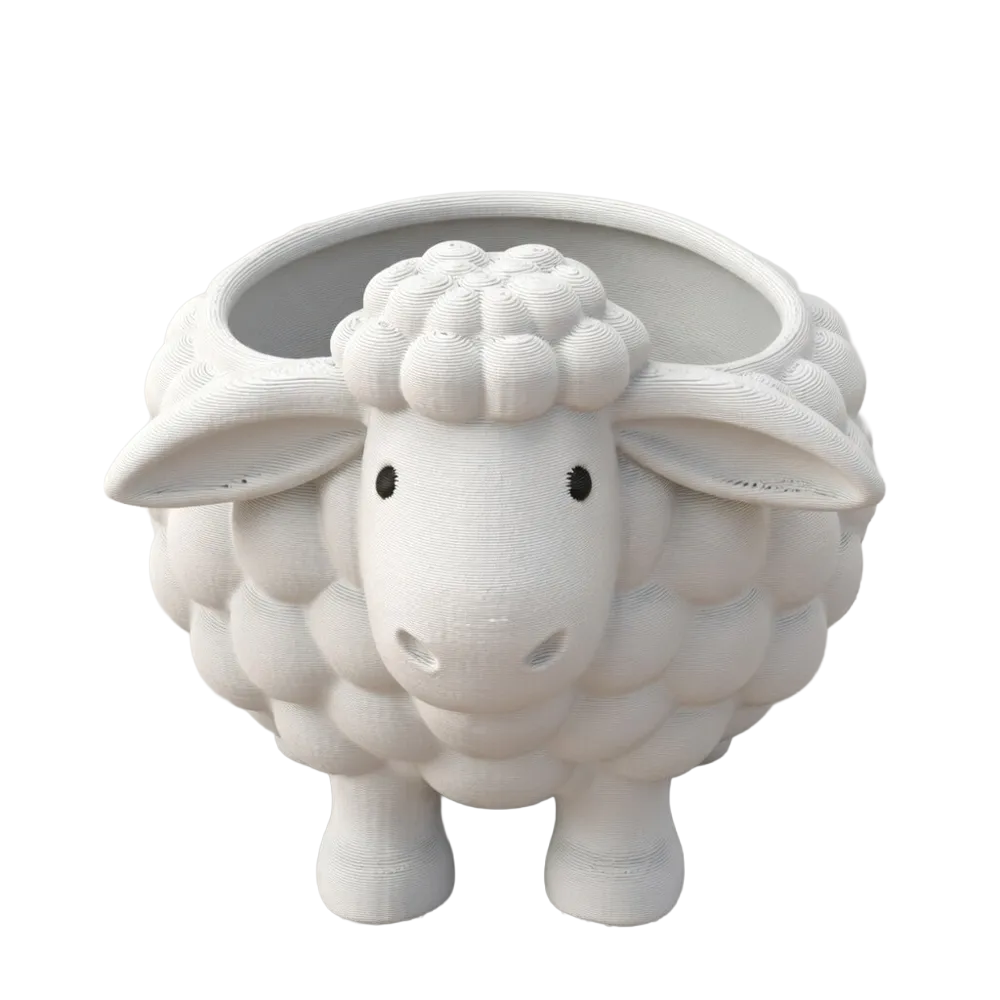 Bonbonere lamb